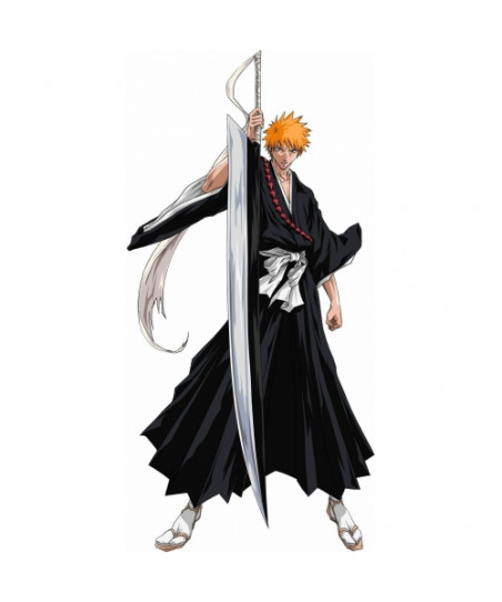 Costume cosplay Ichigo...