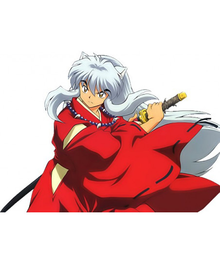 Costume cosplay Inuyasha