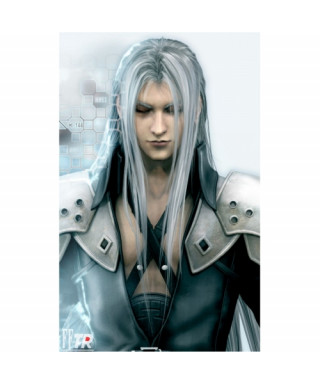 Costume cosplay Sephiroth