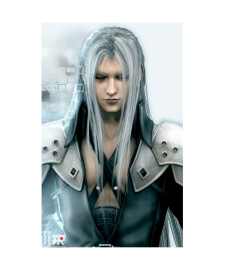 Costume cosplay Sephiroth