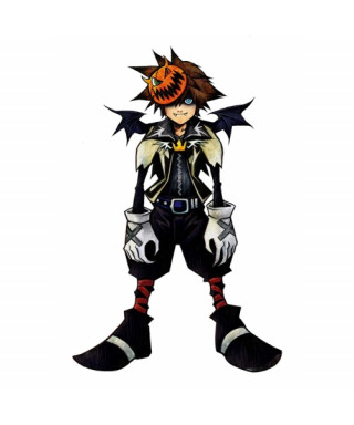 Costume cosplay - Sora...