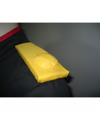 Costume cosplay - Kyouichi...