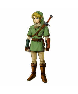 Costume cosplay Link