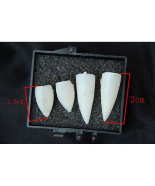 Denti/Zanne Demone - Inuyasha