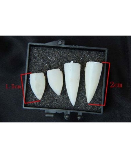 Denti/Zanne Demone - Inuyasha