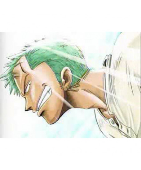 Orecchini cosplay Zolo